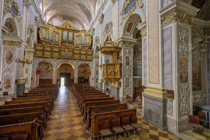 View of the organ