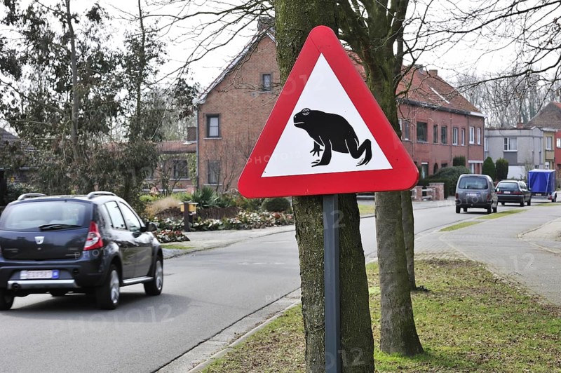 Warning sign for migrating amphibians