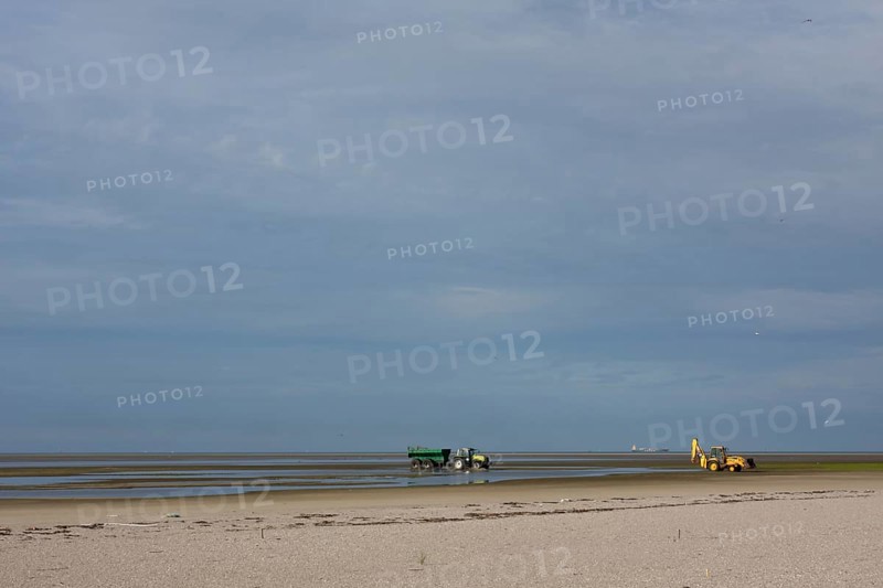 Construction measures on the uninhabited island of Minsener Oog in zone 1 in the Lower Saxony Wadden Sea National Park