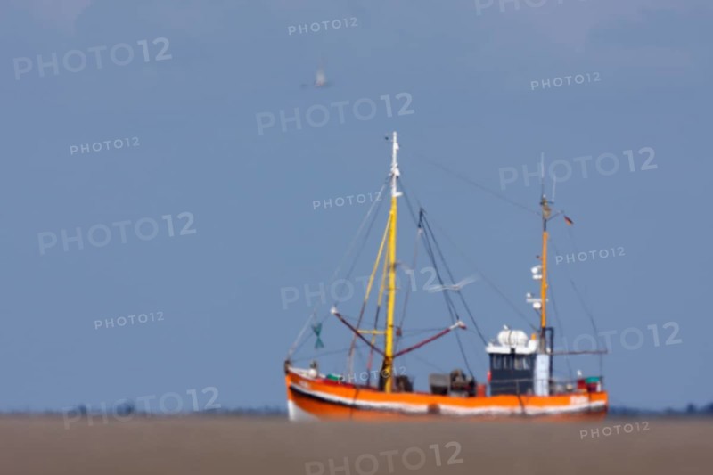 Crab cutter seems to be sailing in the sand