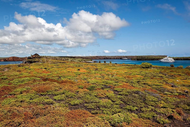 Isla Santa Cruz