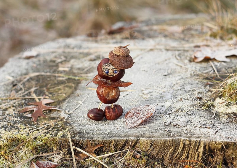 Funny chestnut figure in winter