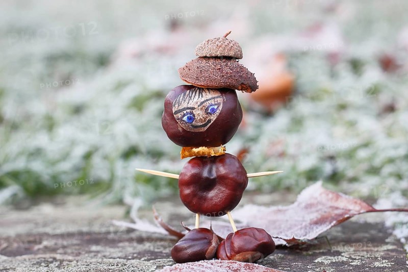 Funny chestnut figure in winter