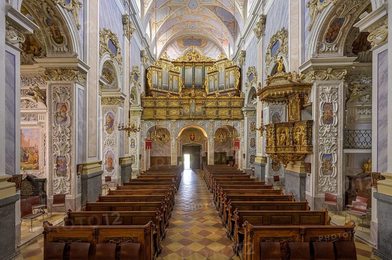 View of the organ