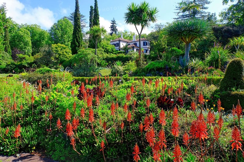 Blandys Garden