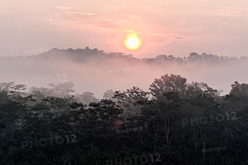 Morning mist over the jungle
