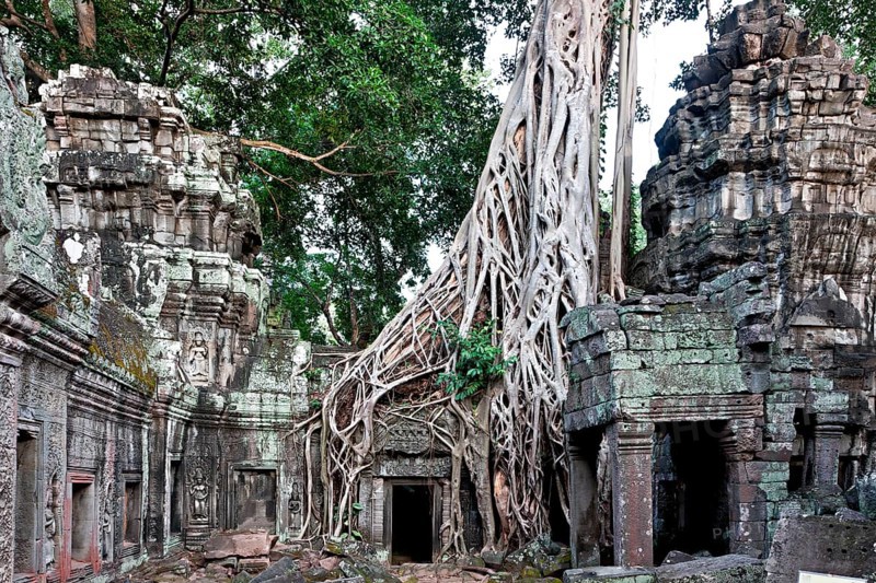 Angkor Ta Prohm