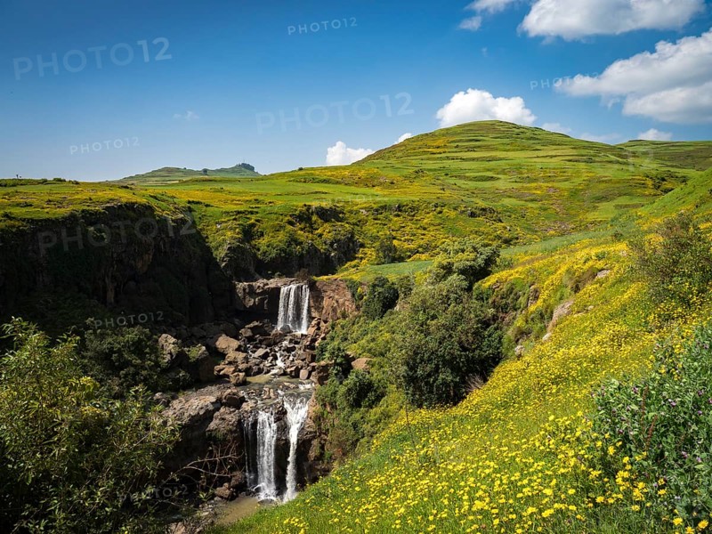 Waterfall in yellow flowering meadows