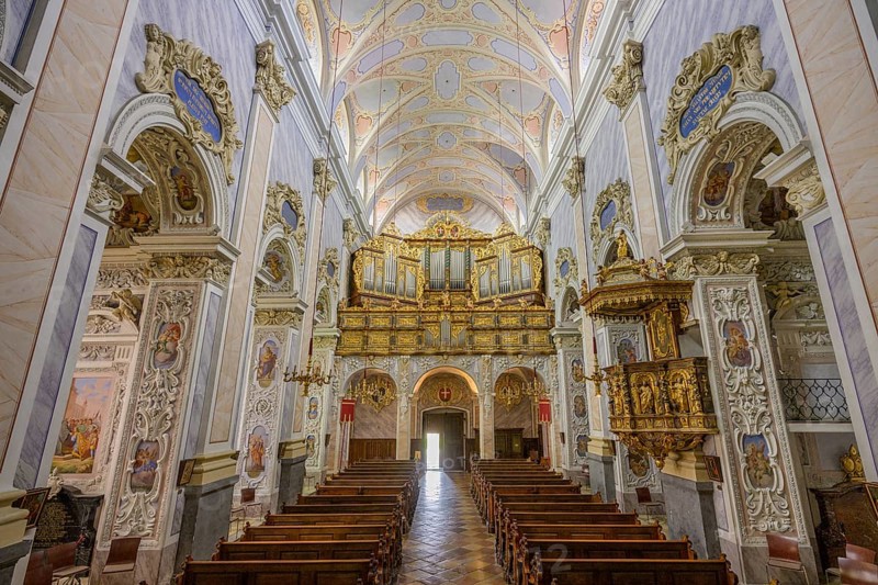 View of the organ