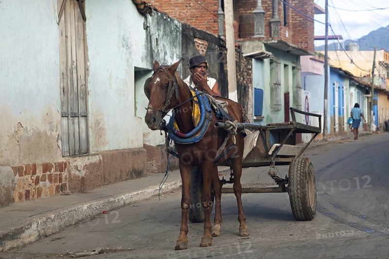 Horse pulling cart in the streets of Trinidad