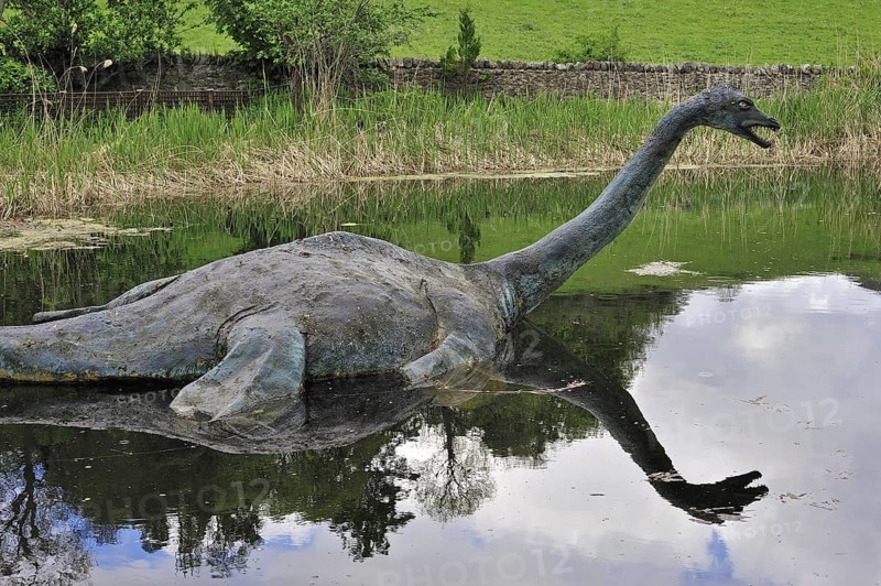 Reconstruction of Nessie