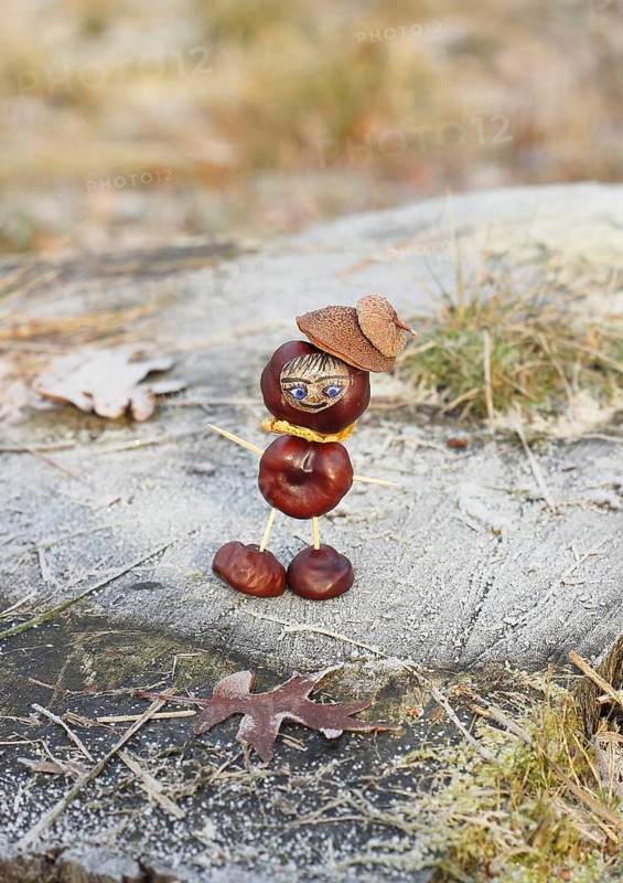 Funny chestnut figure in winter