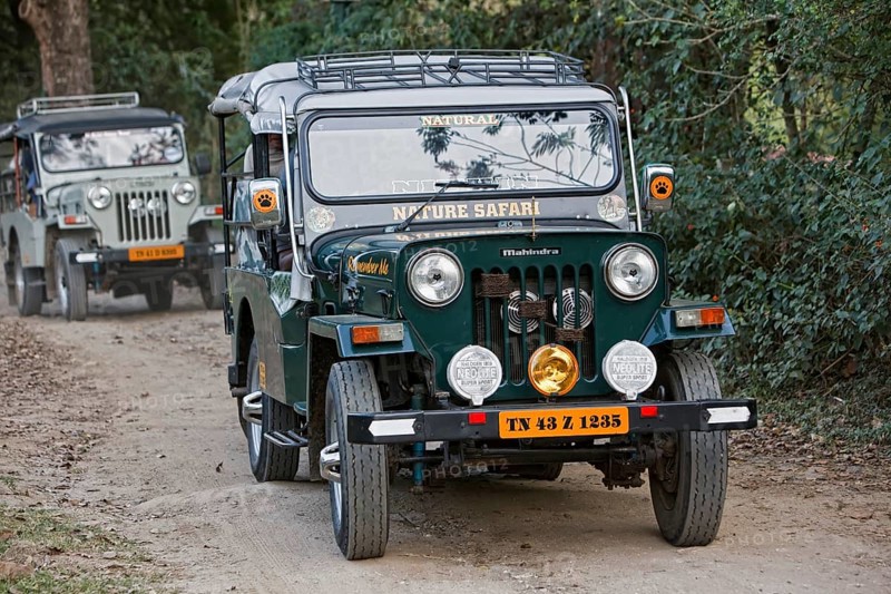 Jeeps