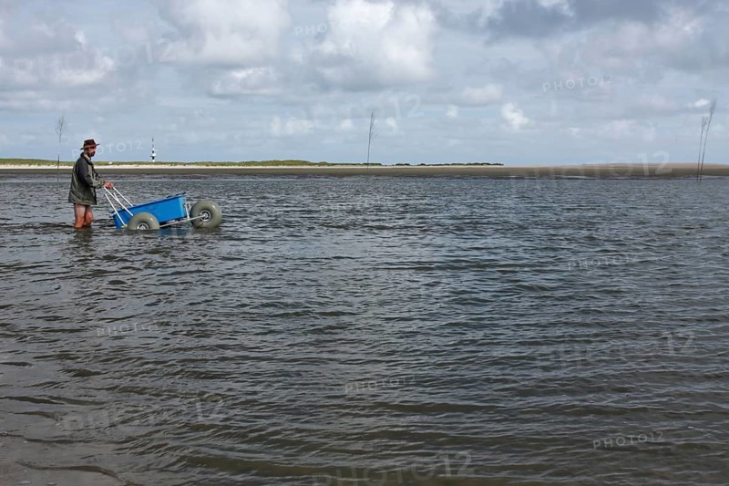 Crossing the tideway off the island of Minsener Oog