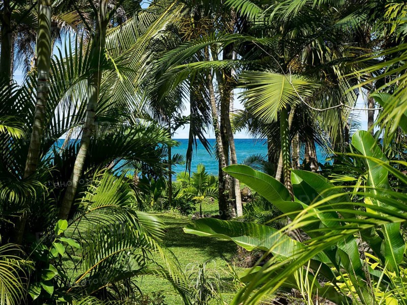 Caribbean coast