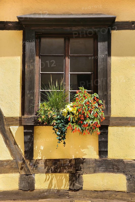 Window on the Kapff Building