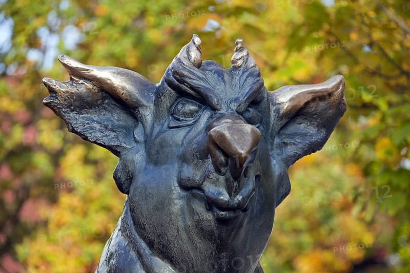Hellhound at the Hexentanzplatz