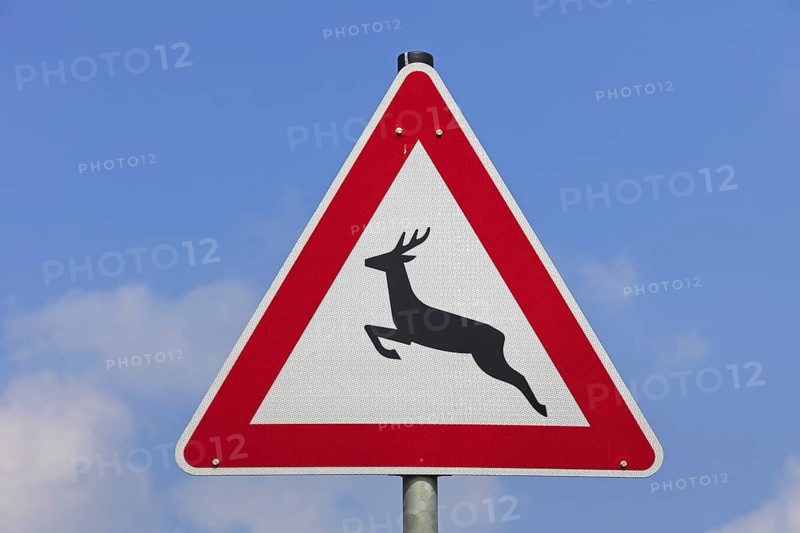 Wildlife warning sign for deer crossing the road against blue sky