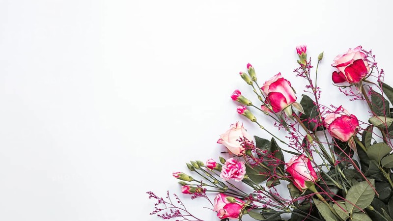 Pink rose flowers light table