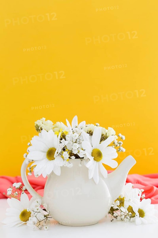 Decoration with white daisies yellow background