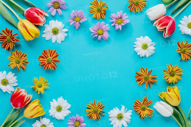 Blooming tender flowers blue