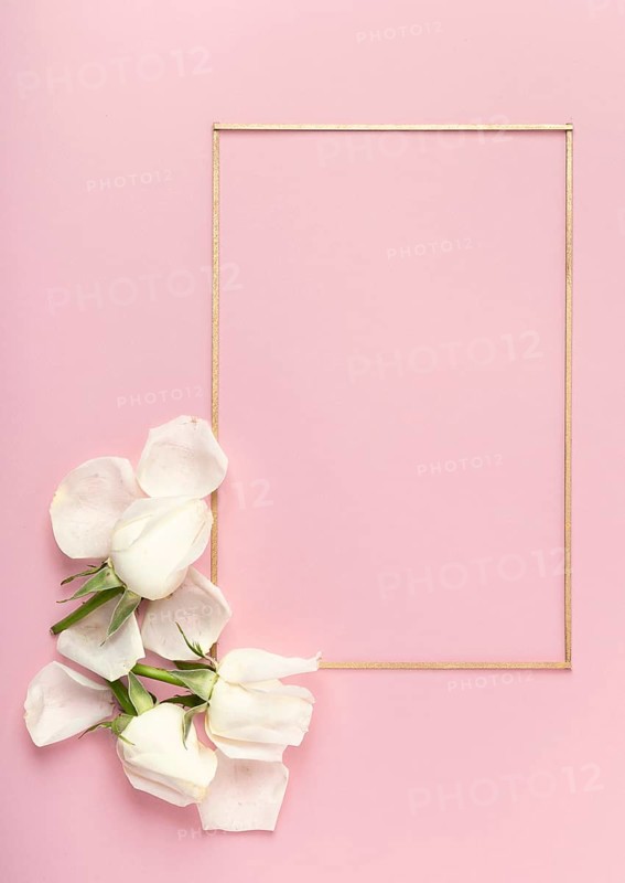 Cute minimalist frame white rose petals