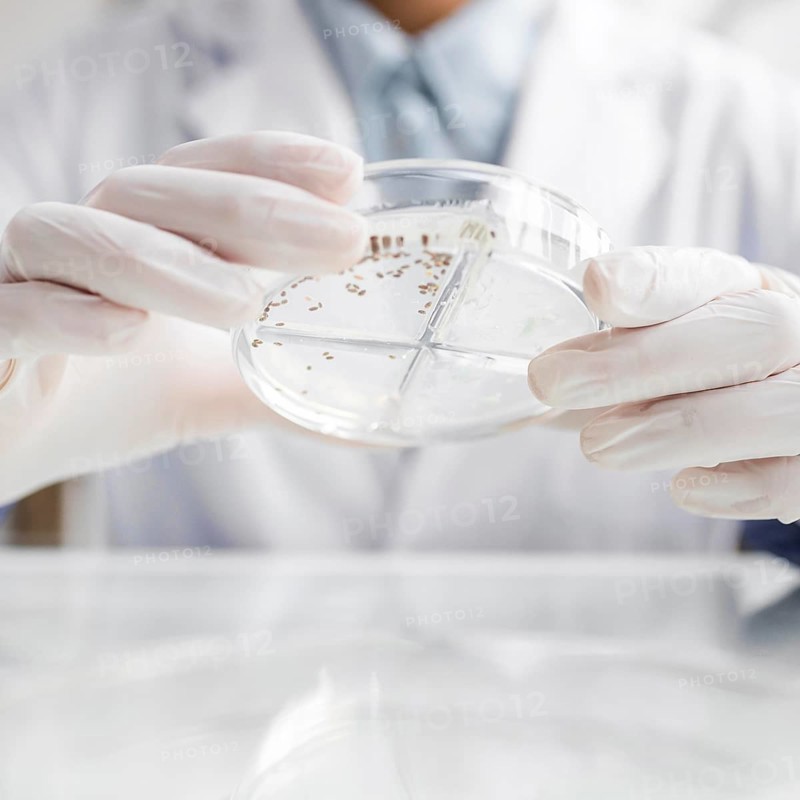 Researcher with petri dish biotechnology laboratory