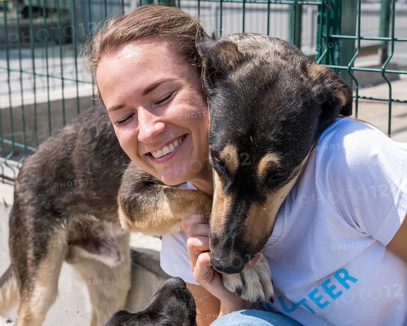 Smiley woman playing with cute dog up adoption