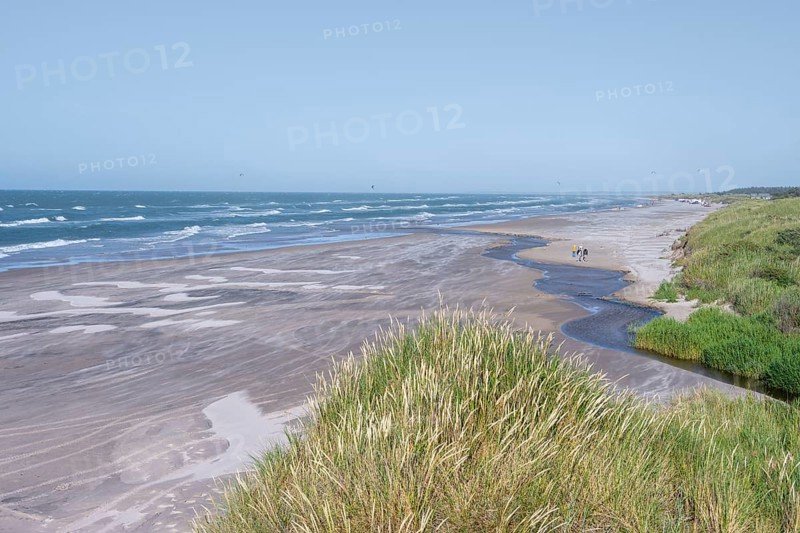 Dunes and sandy beach by the sea