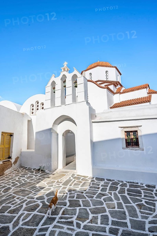 Cat in front of archway with bells of Agios Antonios chapel and Greek Orthodox church Metamorfosi Sotiros