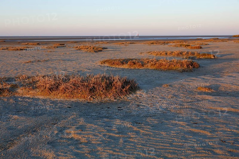 View into the mudflats to the north on the island of Minsener Oog