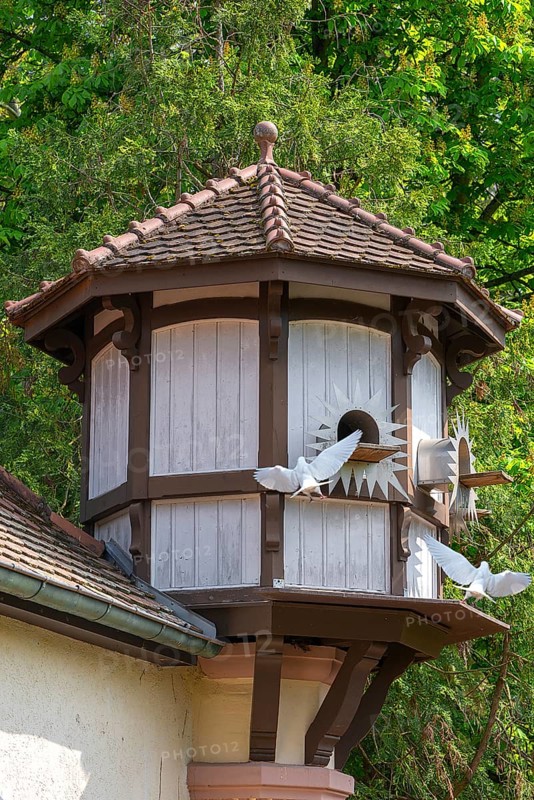 Dovecote in the municipal park of Lahr