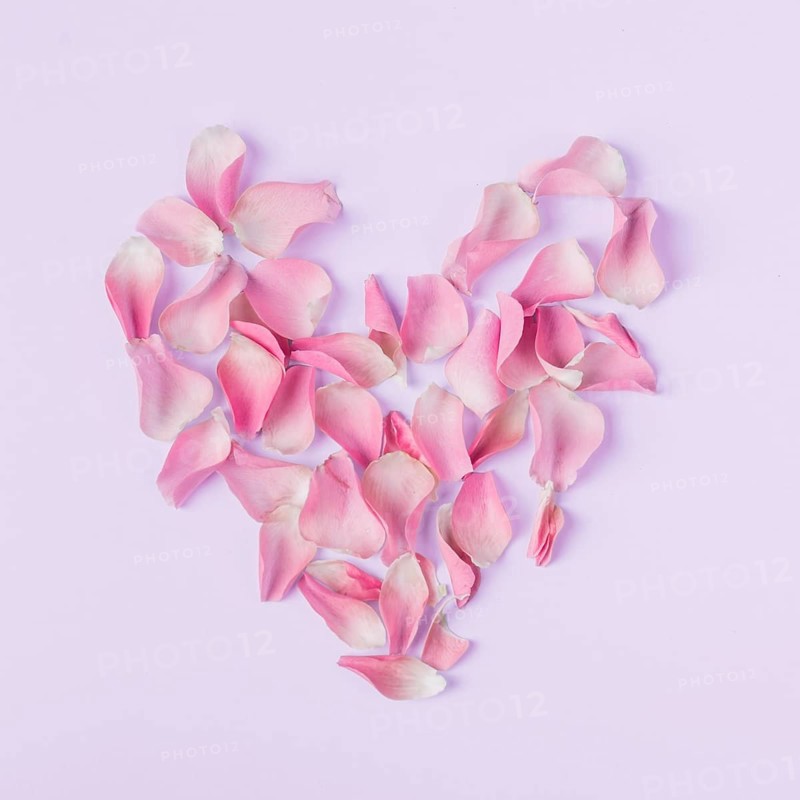 Heart shape from roses petals