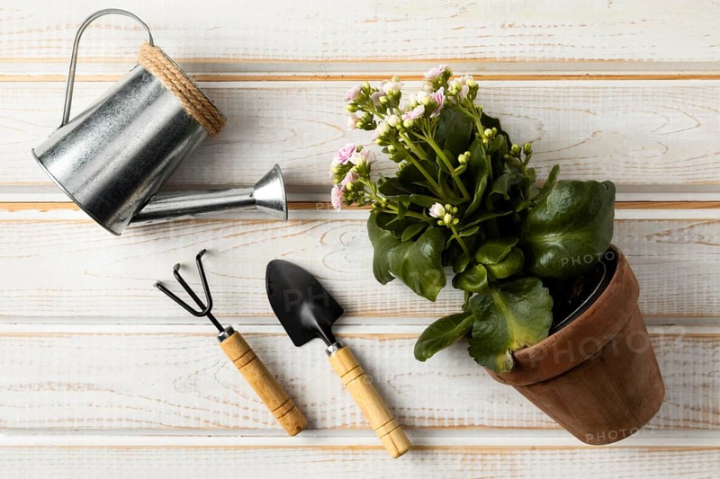 Watering can flower pot