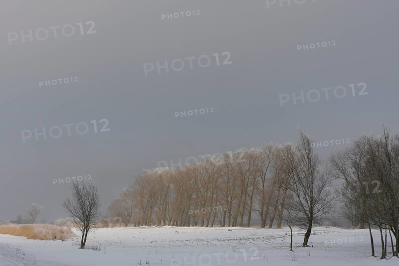 Winter on the Weser