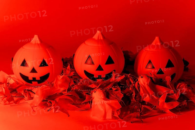 Halloween pumpkins on a red background