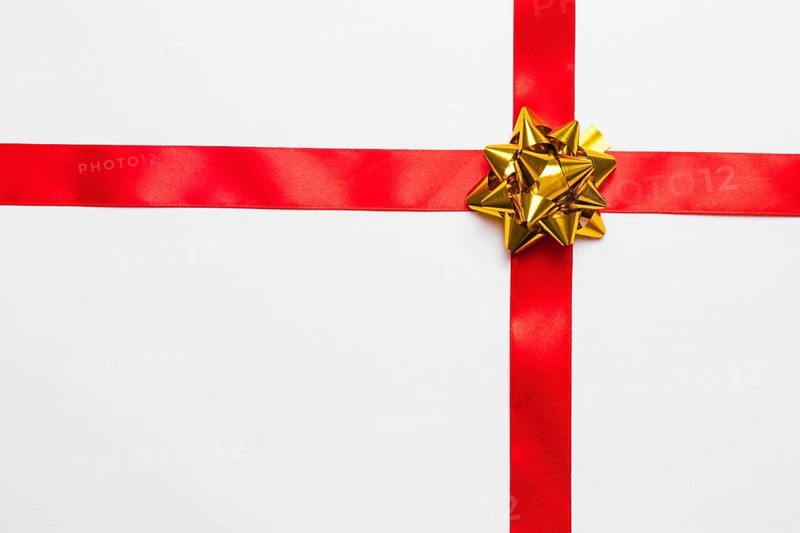 Shiny gift bow with silk ribbon