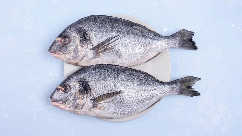 Fresh uncooked seafood fish