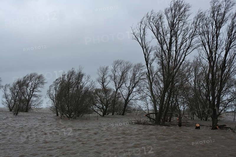 Flooded meadow after a storm surge on the Lower Weser island of Strohauser Plate
