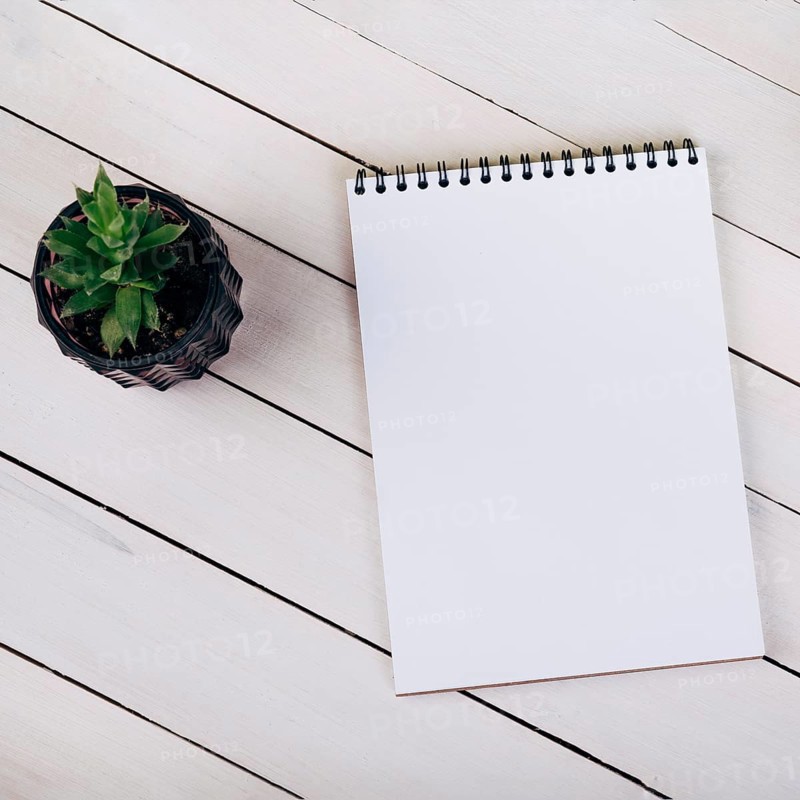 Houseplant near blank spiral notepad white wooden