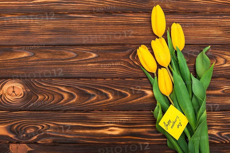 Happy mothers day inscription with tulip flowers