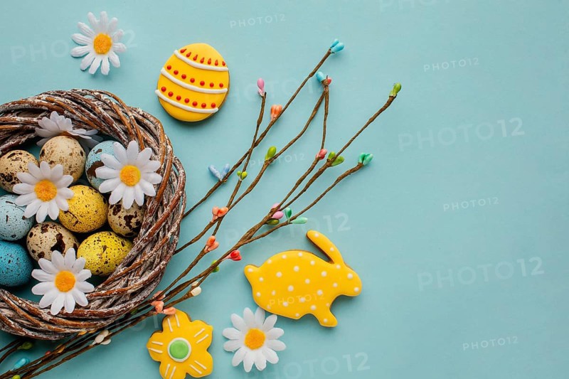 Flat lay easter eggs basket with chamomile flowers