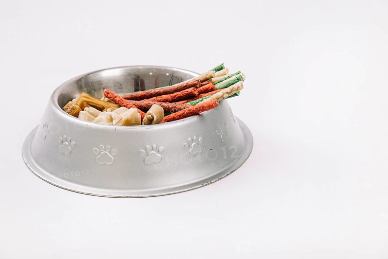 Close up bowl with pet dainties