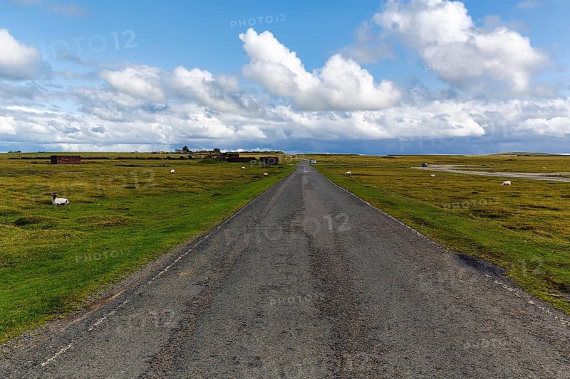 Road leads across high moor