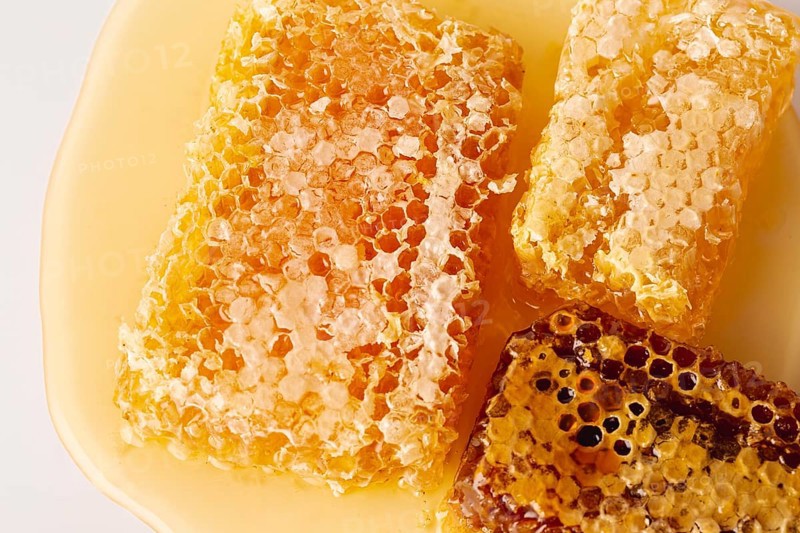 Flat lay honeycombs honey