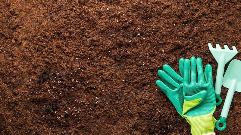 Flat lay gardening tools with copyspace