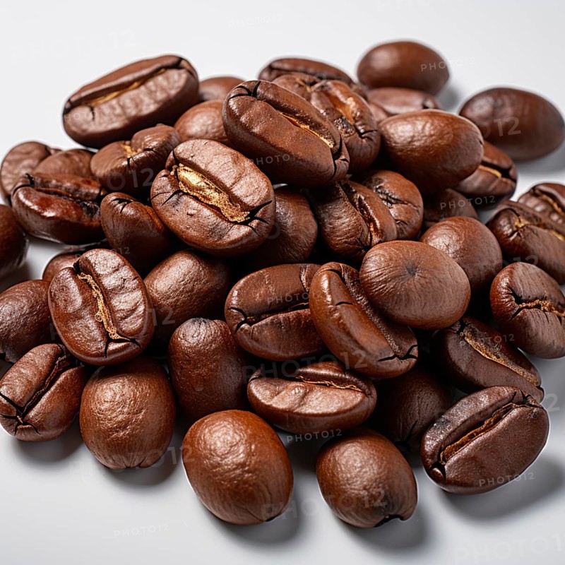 Coffee beans fresh and roasted Coffee beans on a plantation
