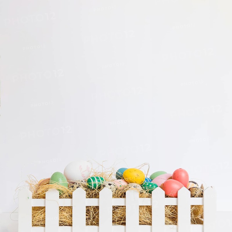 Eggs hay fence