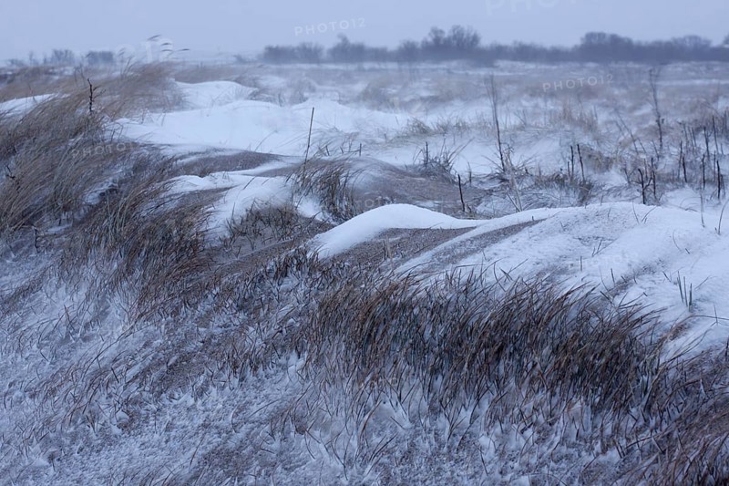 Snow-covered dunes on the island of Minsener Oog