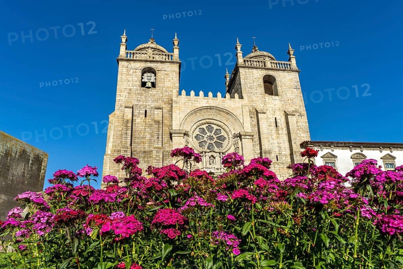 Se do Porto Cathedral